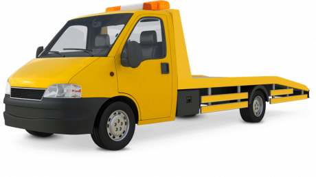 esportazione allestero