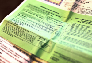 upd_carta verde 300x204